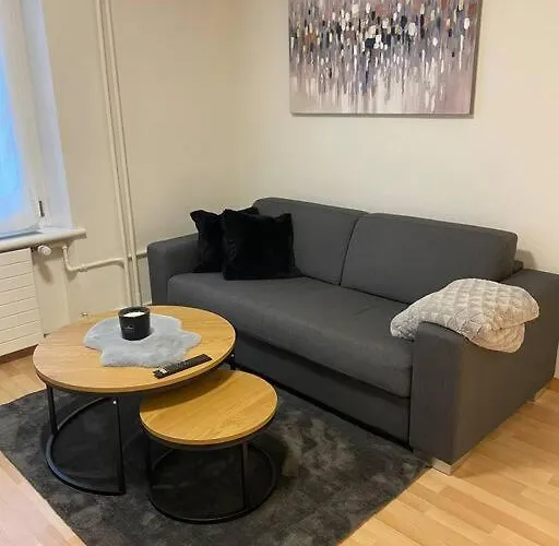 Apartment Gemuetliche An Bester Lage Im Kreis 4